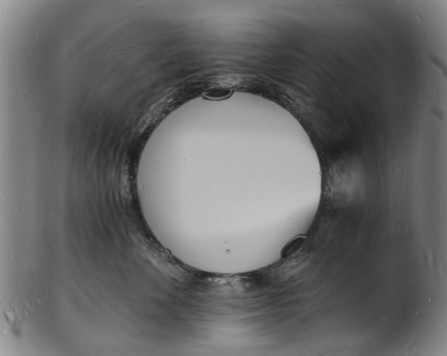 X0000101670524200807241443