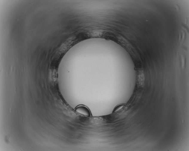 X0000101670525200807241443