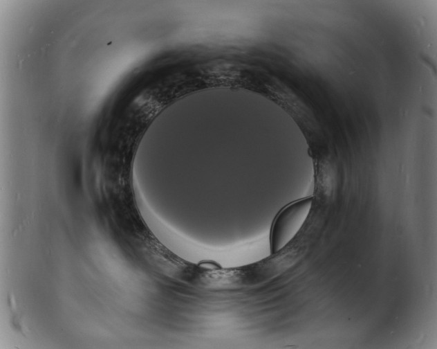 X0000101670526200807241443