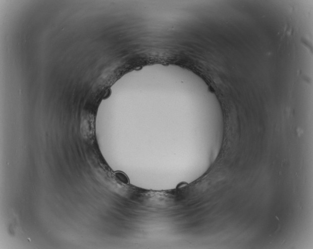 X0000101670528200807241443