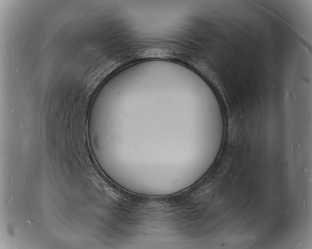 X0000101670529200807241442