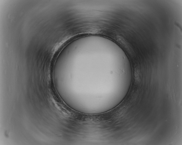 X0000101670532200807241442