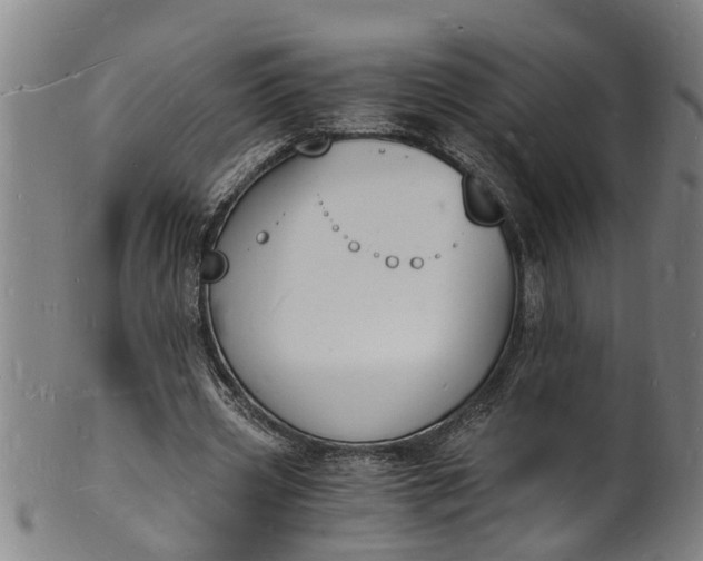 X0000101670533200807241442