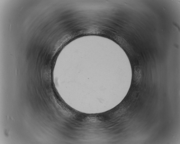 X0000101670534200807241442