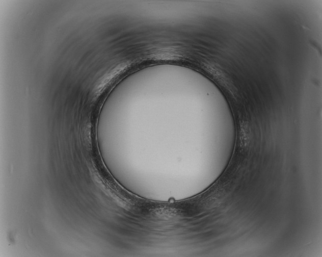 X0000101670535200807241442