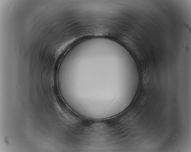 X0000101670536200807241442