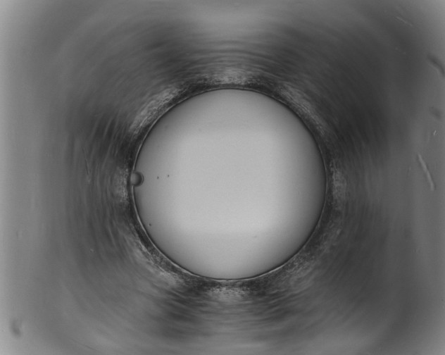 X0000101670537200807241442