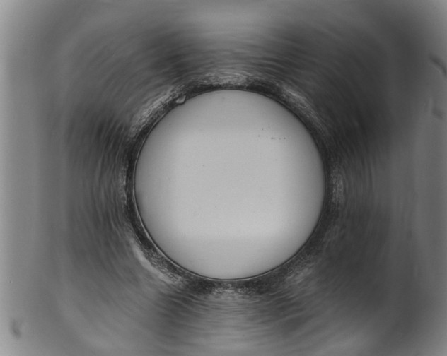 X0000101670538200807241442