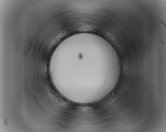 X0000101670539200807241442