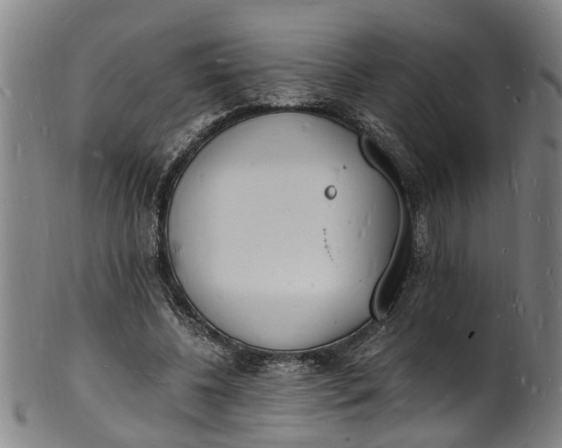 X0000101670540200807241442