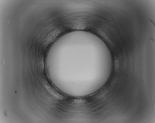 X0000101670541200807241442