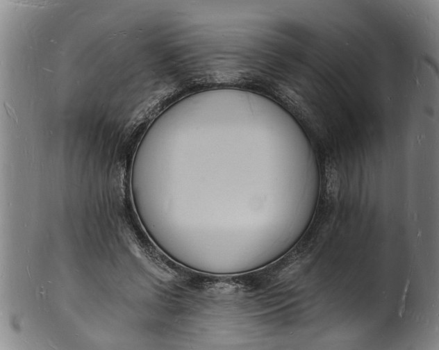 X0000101670542200807241442