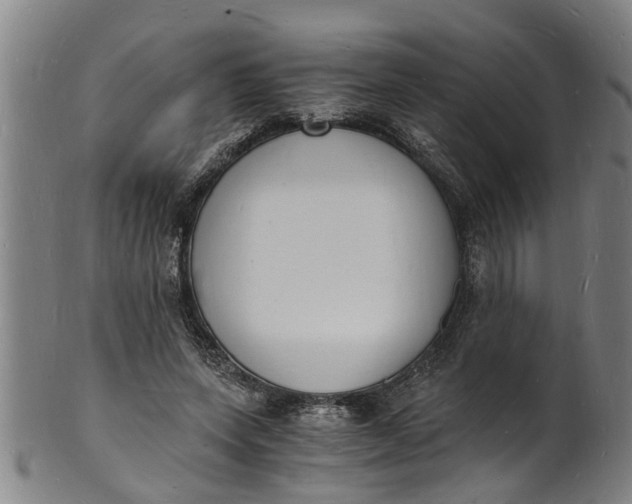 X0000101670543200807241442