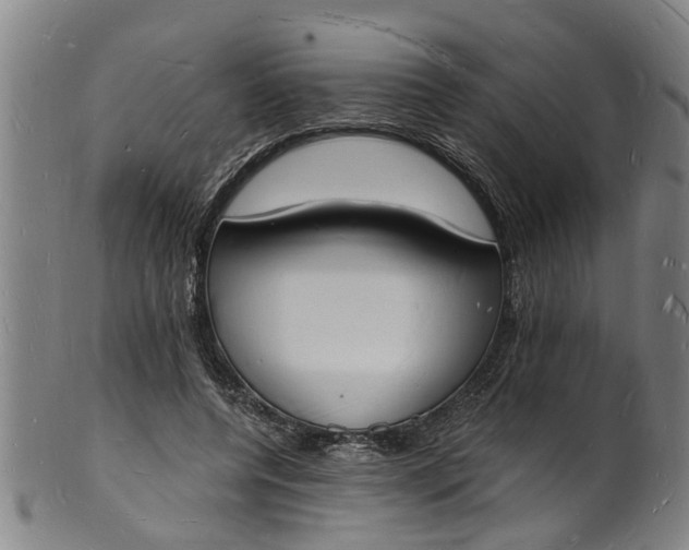 X0000101670544200807241443