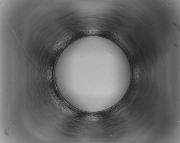 X0000101670545200807241443