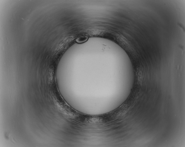 X0000101670546200807241443