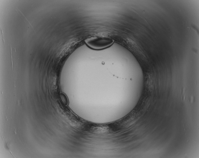 X0000101670548200807241443