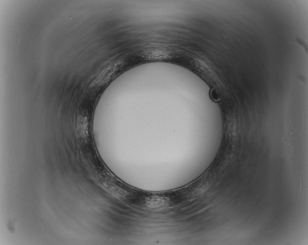 X0000101670549200807241443