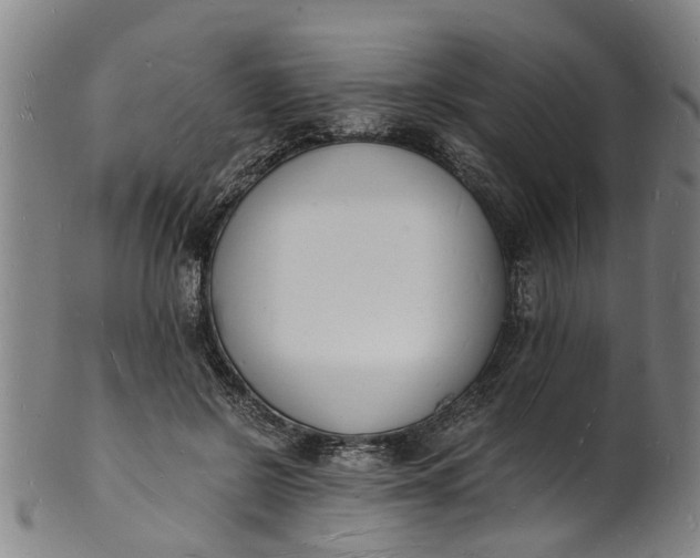 X0000101670550200807241443