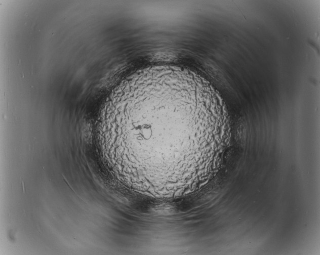 X0000101670551200807241443