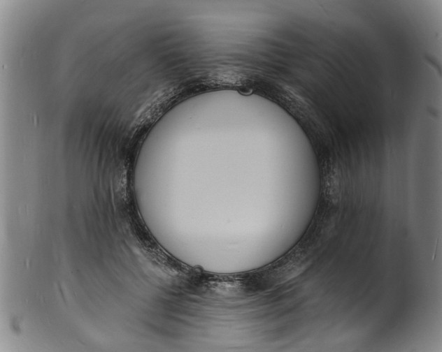 X0000101670552200807241443