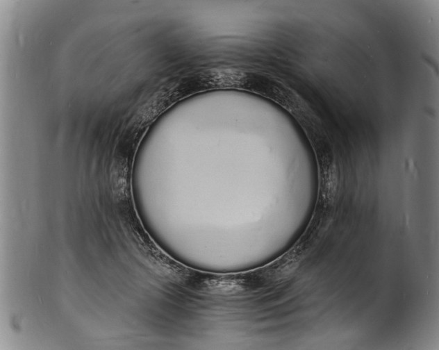 X0000101670553200807241443