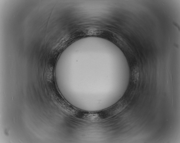 X0000101670554200807241443