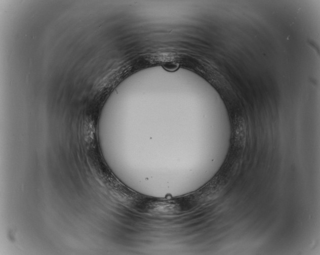X0000101670555200807241443