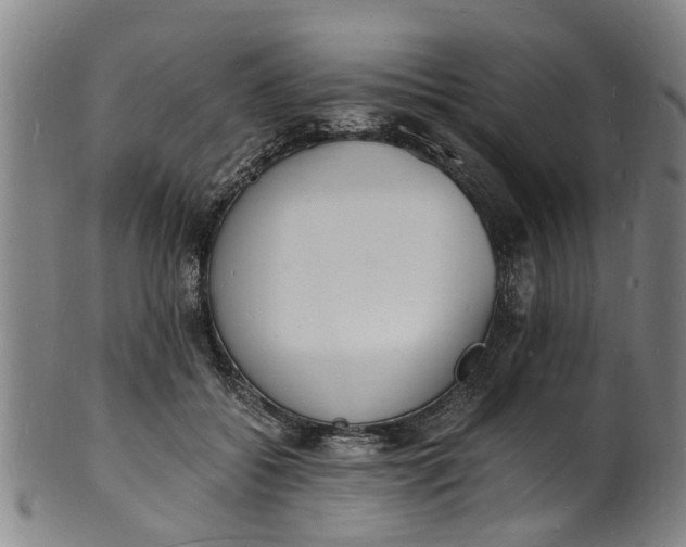 X0000101670556200807241443