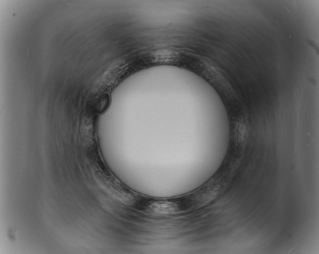 X0000101670557200807241443