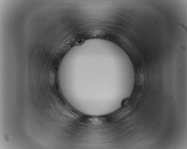 X0000101670558200807241443