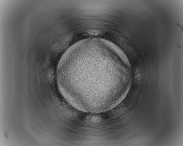 X0000101670559200807241443