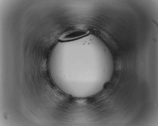 X0000101670560200807241443