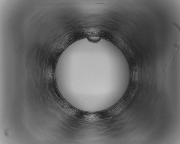 X0000101670561200807241443