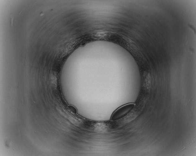 X0000101670562200807241443