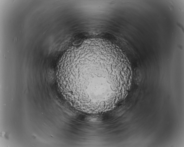 X0000101670563200807241443
