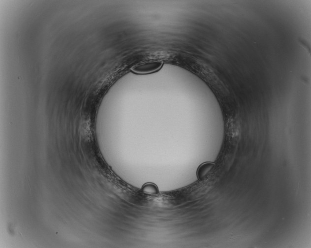 X0000101670564200807241443