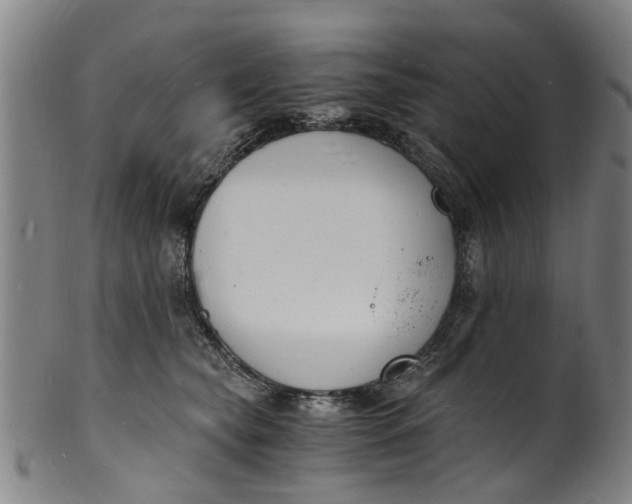 X0000101670565200807241443