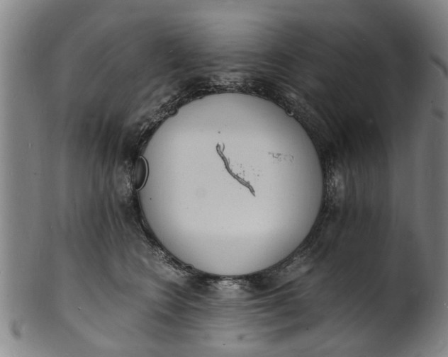 X0000101670566200807241443