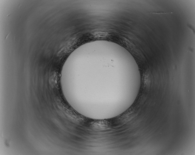 X0000101670567200807241443