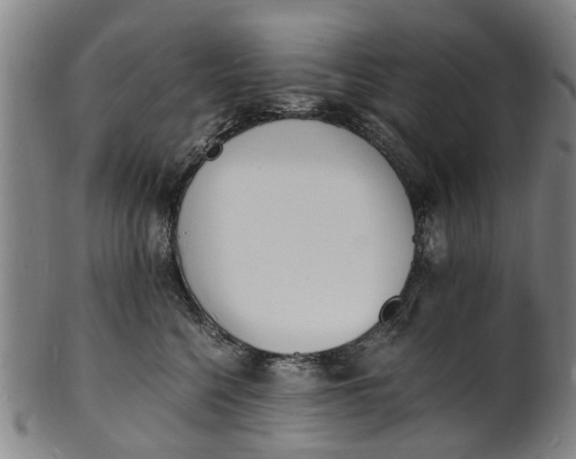 X0000101670568200807241443