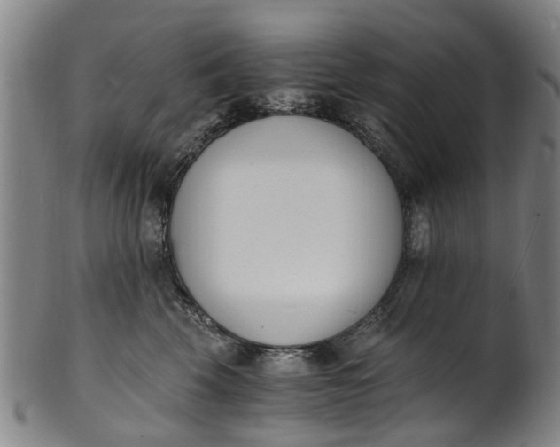 X0000101670569200807241443