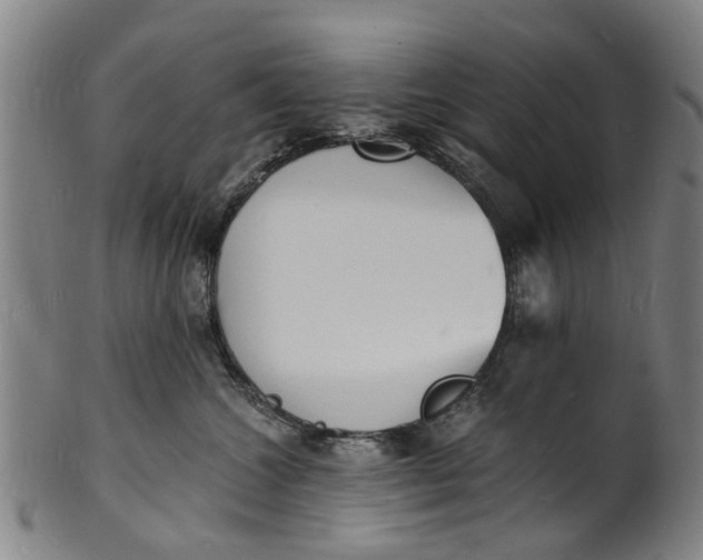 X0000101670572200807241443