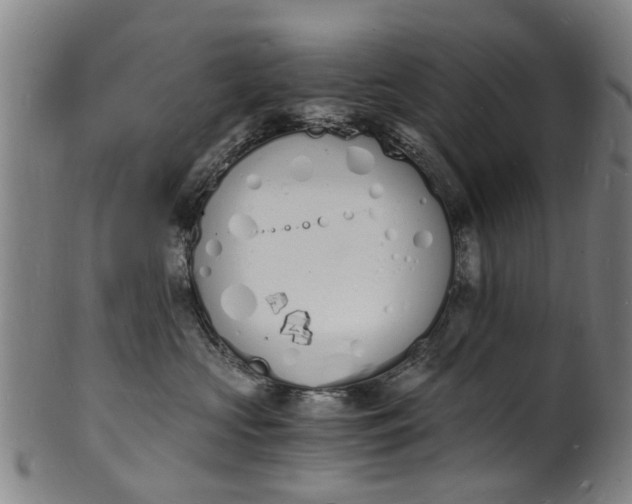 X0000101670573200807241443