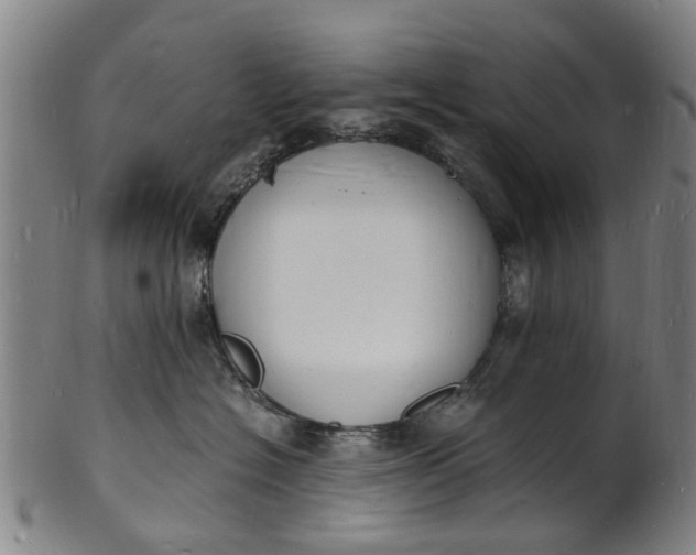 X0000101670574200807241443