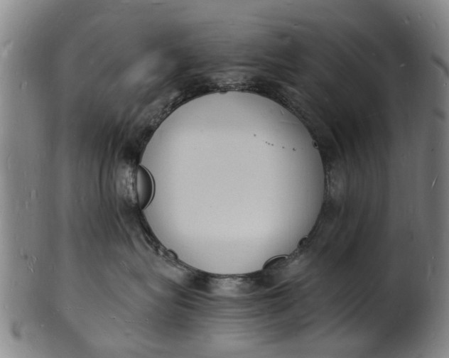 X0000101670575200807241443