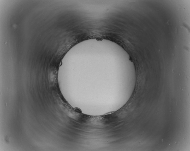 X0000101670576200807241443