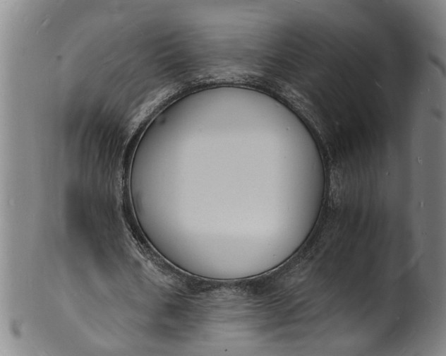 X0000101670578200807241442
