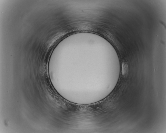 X0000101670579200807241442
