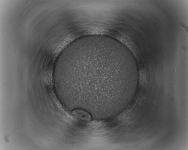 X0000101670581200807241442
